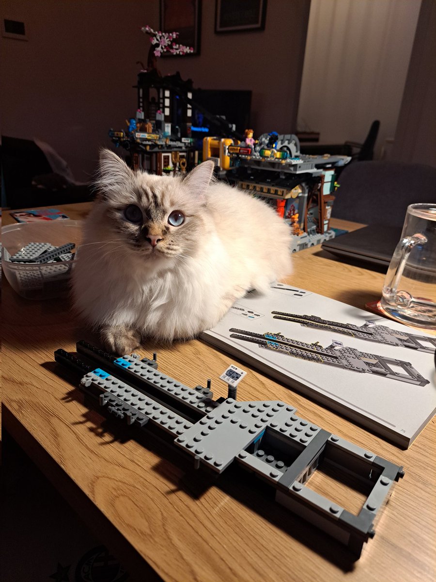 Femke🍊 tweet media