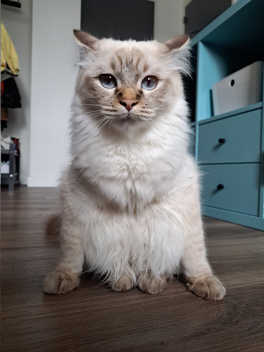 Femke🍊 tweet media