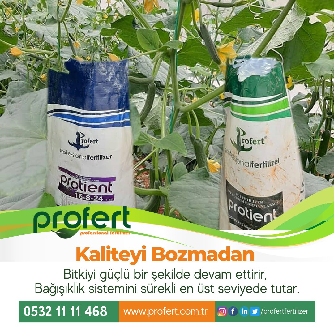 Profertgubre's tweet photo. Kaliteyi bozmadan, bitkiyi güçlü bir şekilde devam ettiren.
Bağışıklık sistemini sürekli en üst seviyede tutan,
Profert ürünleri ile kaliteyi sizlerde yaşayın.

#agriculture #profertfertilizer #çarşamba #exxen Galatasaray #ChampionsLeague Altay Ayşenur Arslan https://t.co/zWpltanajt