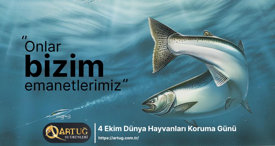 ArtugSu's tweet photo. #4EkimHayvanlarıKorumaGünü

Detaylı bilgi için; https://t.co/cZ64RSJFYf https://t.co/88QcEnYW3X