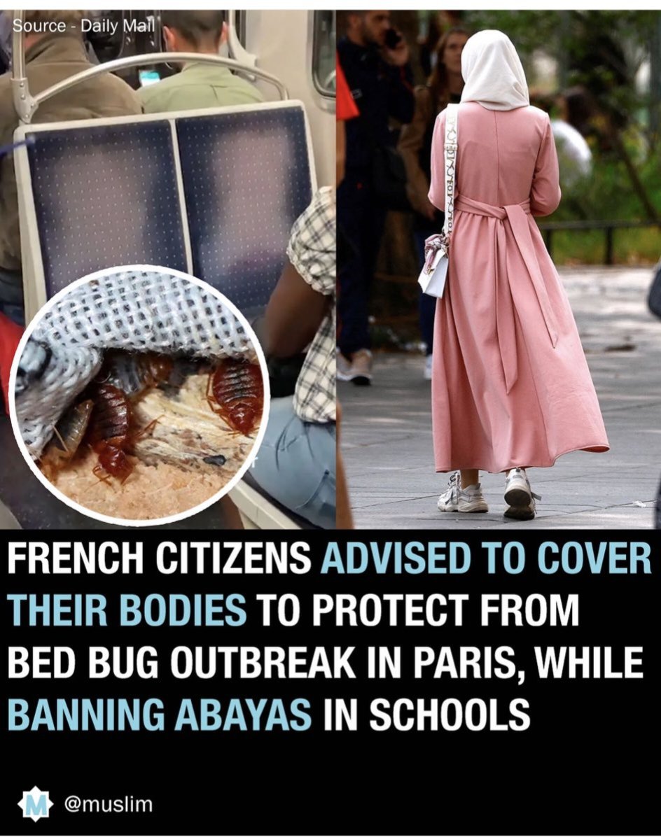 mdabdulkamran's tweet photo. The French want to ban Muslim women from covering their bodies yet now are forced to cover due to the outbreak of BED BUGs. 

#BedBugs 
#francesco https://t.co/c1VE3faiOd