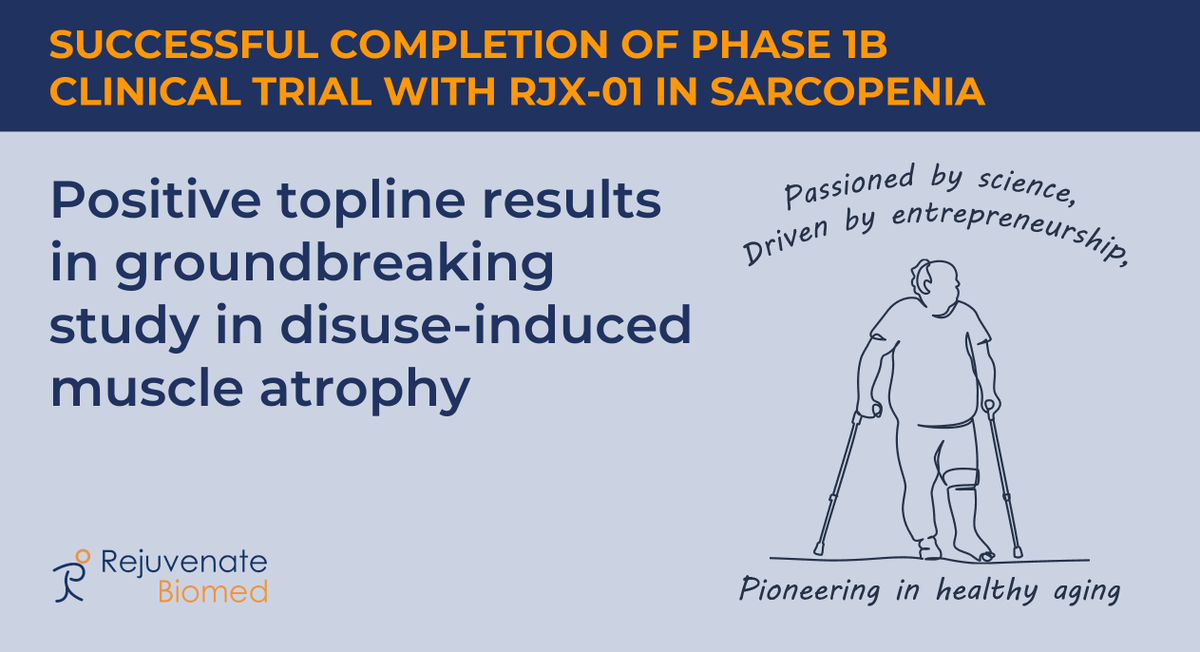 📢 Thrilled to announce positive data from our #Phase1b #clinicaltrial with RJx-01 in #sarcopenia! We confirmed safety, tolerability and #pharmacokinetics with the proprietary formulation. A true milestone in our mission to redefine #aging. #pressrelease: rejuvenatebiomed.com/en/news/positi…