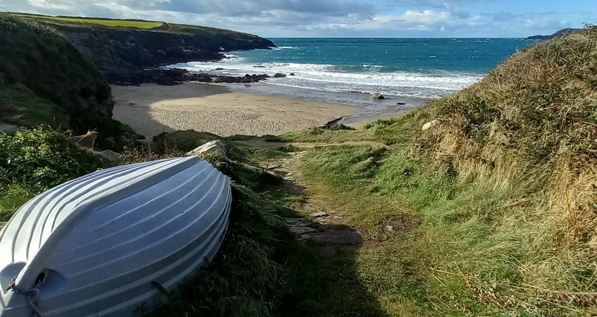 Wooden boat, Pembrokeshire Coast, Wales.
#woodensday