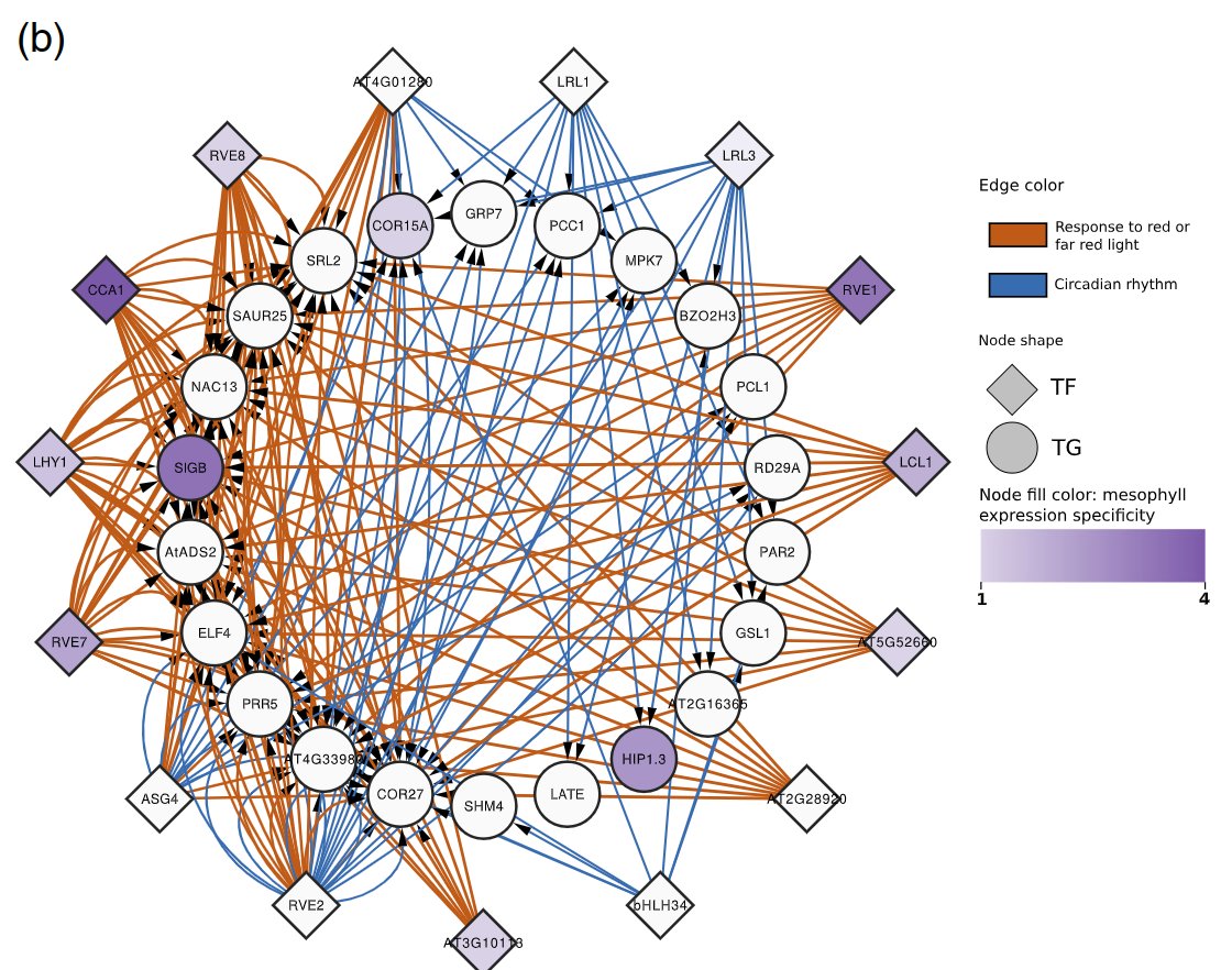 By giving it a chromatin accessibility profile, MINI-AC will provide a list of ranked regulators relevant for the specific context under study, and a functional gene regulatory network.