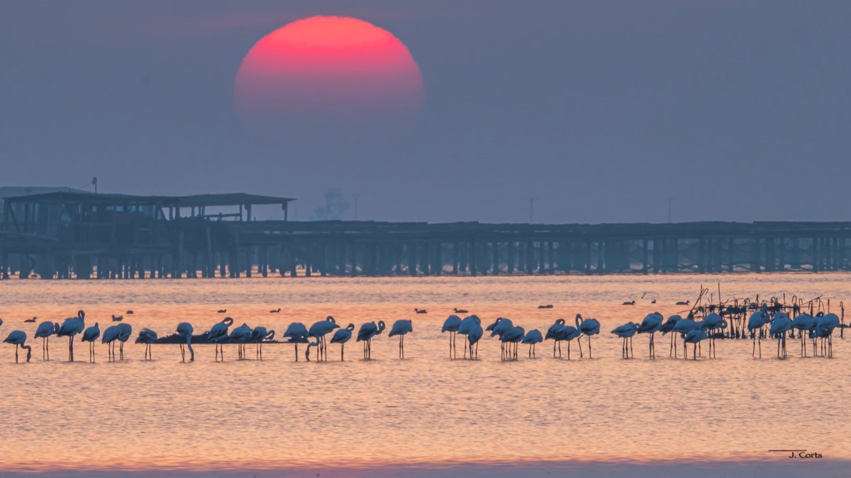 Pel calendari de la <a href="/WMO/">World Meteorological Organization</a> del 2024 es fa un concurs. En aquest cas, la foto "Dream Mornings" premiada, és en l'apartat Mencions Honorables. Està feta pel  Joaquim Corts Ferré. Lloc: Port Illa de Mar a Deltebre. Enhorabona!! @eltempsTV3 <a href="/meteocat/">Meteocat</a> <a href="/terresebretur/">Terres de l'Ebre</a>