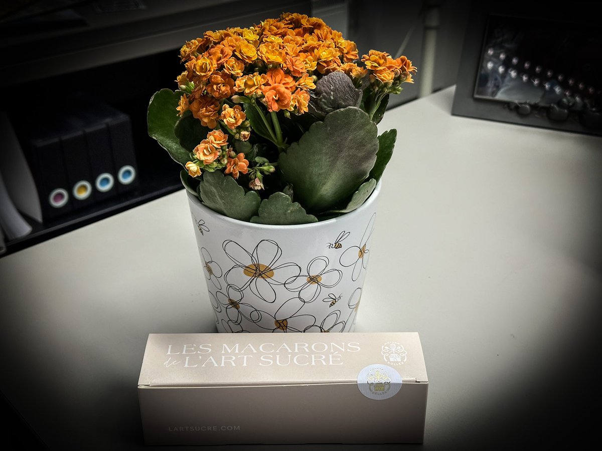 JEM1979's tweet photo. When your sweet coworkers surprise you with a lovely thanks for helping with end of fiscal year. β€οΈπ Made my day! #usace #armycorpsofengineers #blessed #bestcoworkers #wiesbaden #germany #army #usagwiesbaden https://t.co/6y3a6W5Uc3
