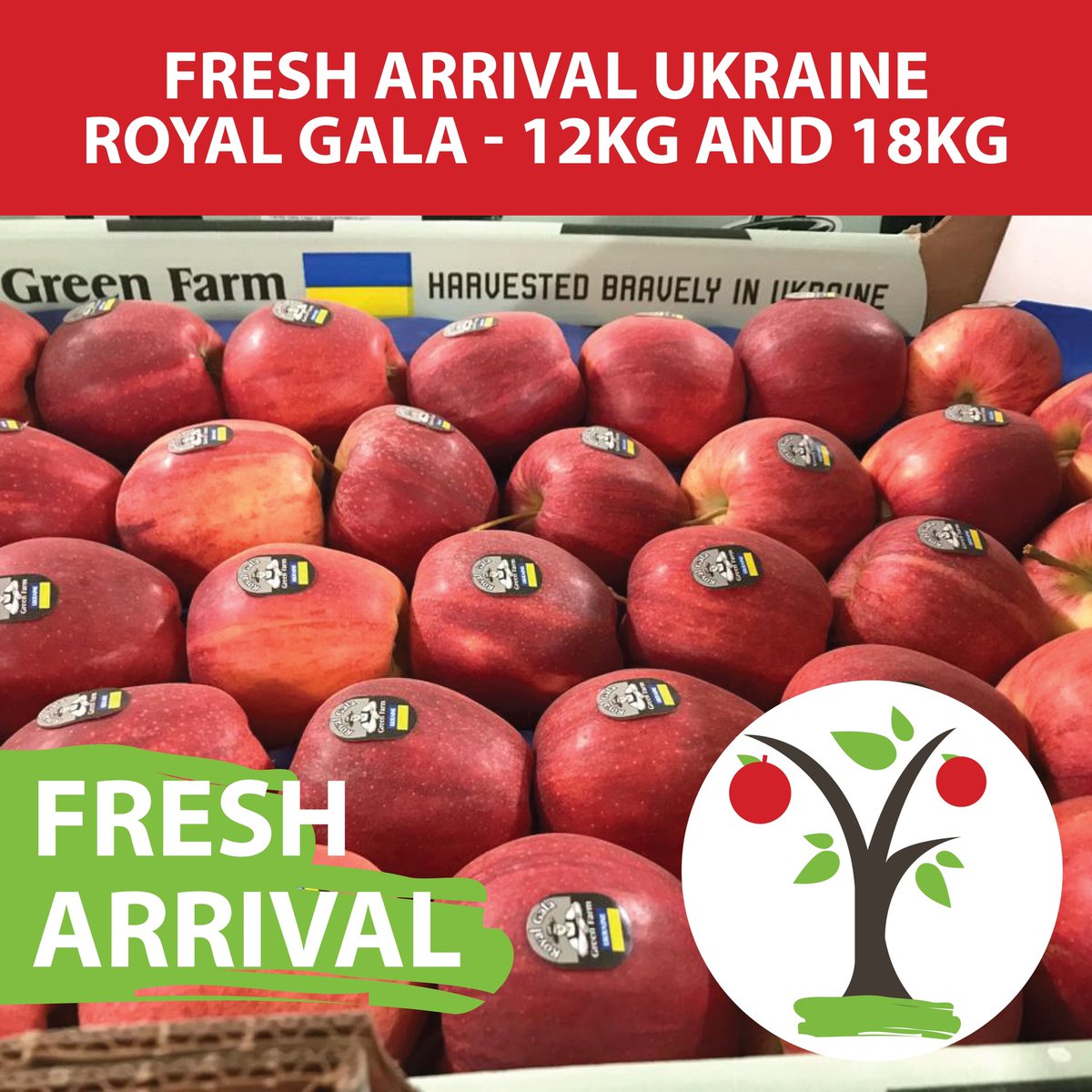GrowersDirectUK's tweet photo. Harvested in Ukraine… Fresh Arrival Royal Gala Apples Available in 12kg and 18kg

Contact us and get yours today! 01924 866700

#Ukraine #juicy #crispy #food #producedistributor #delicious #healthyeating #healthy #royalgala #fruit #freshapples #qualityapples #fruitlovers #fruits https://t.co/pGzE2cgOm5