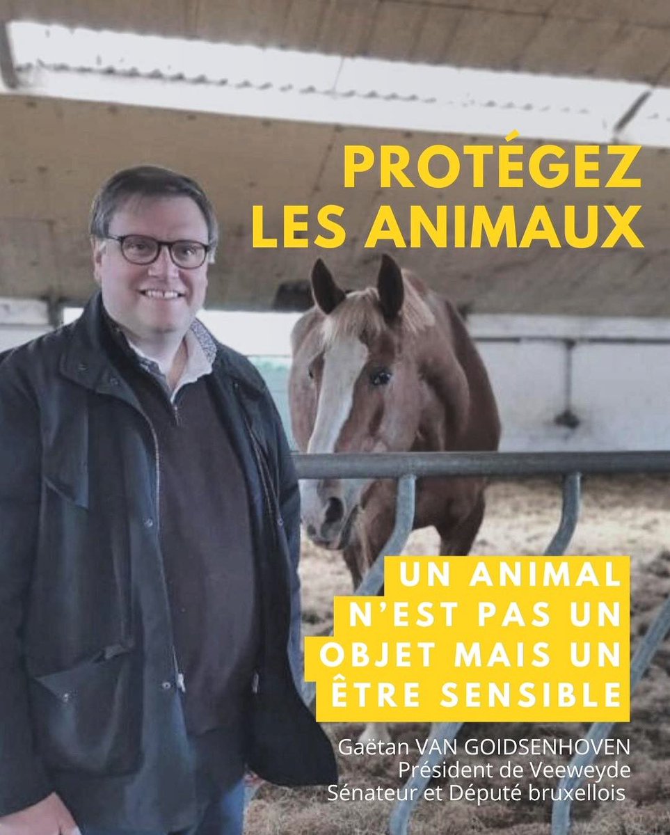 Convaincu que les droits des animaux sont un pilier essentiel d'une société équilibrée. Mon engagement pour leur défense se manifeste chaque jour dans les Parlements et à #Veeweyde.

🚨Saturations des refuges et responsabilité de la possession méritent réflexion.

#bienetreanimal