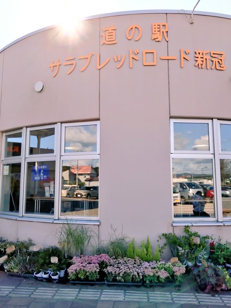 「今日は父を連れて新冠の道の駅に行ってきた〜!お馬〜!!辛味噌ラーメンと新冠ピーマ」|くう花雪月無双のイラスト