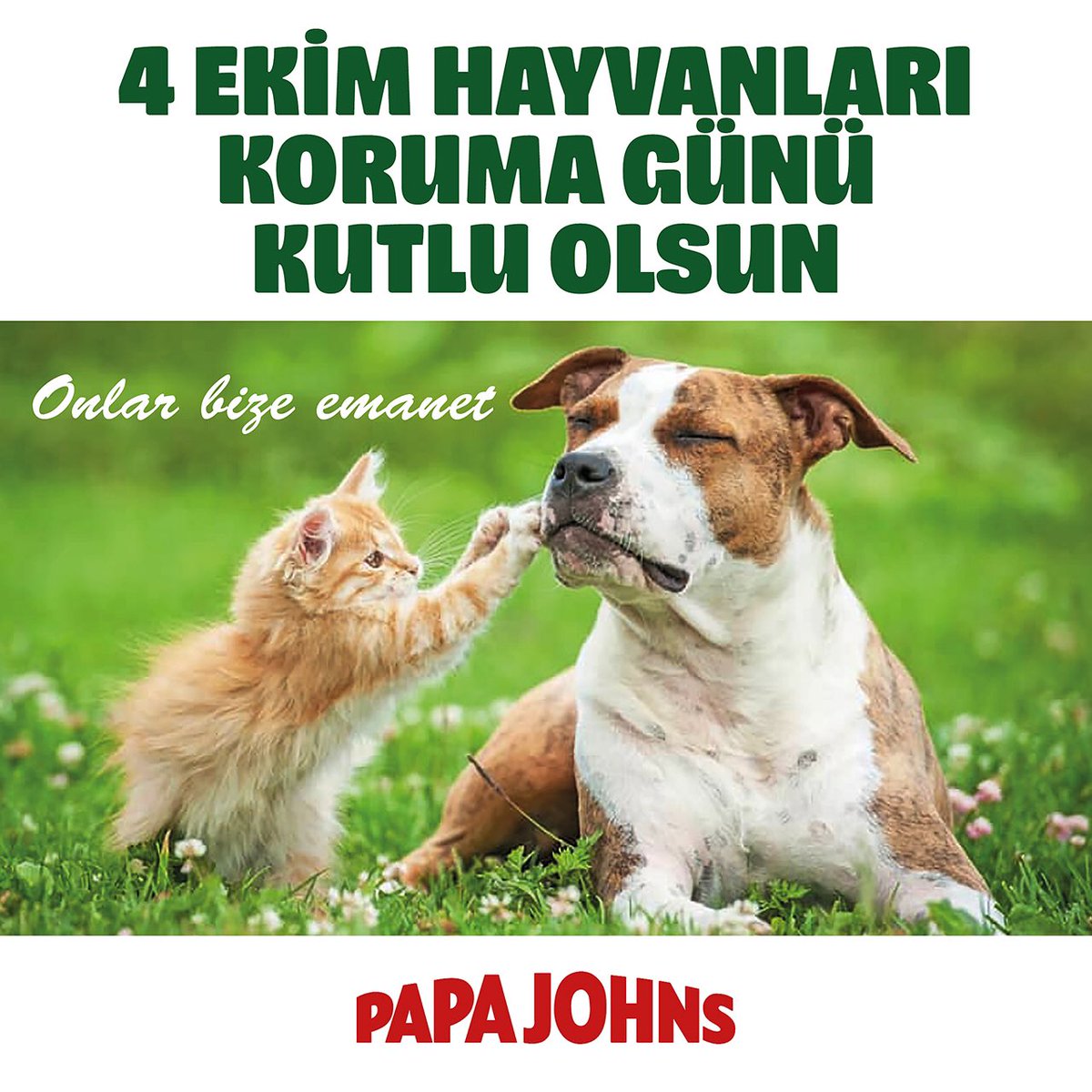 Onlar bize emanet…🐾
#DünyaHayvanlarıKorumaGünü