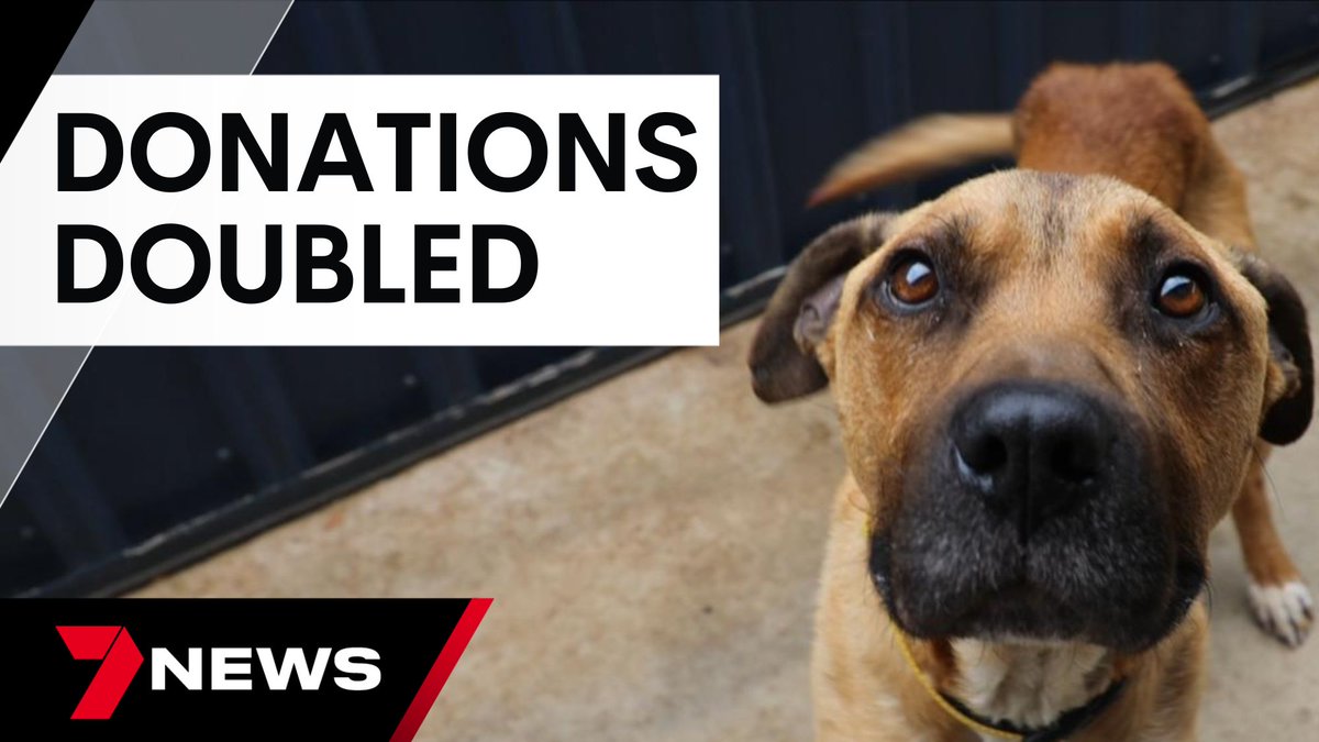 7NEWS Adelaide tweet media