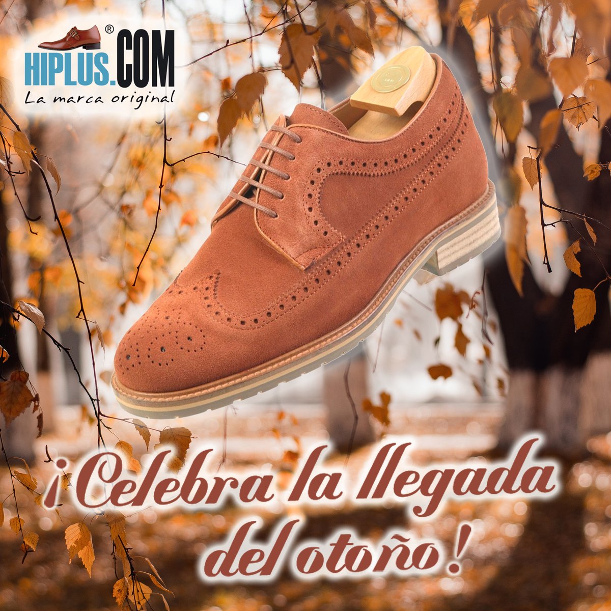 Calzados Hiplus tweet media
