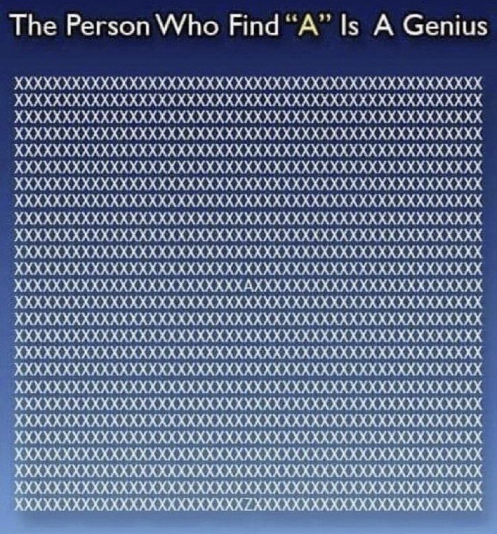 Not Elon Musk tweet media