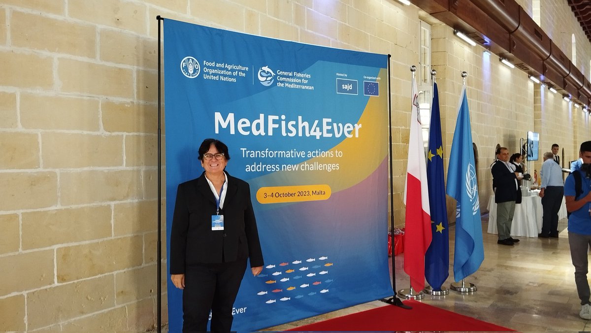 ASoDeMar22's tweet image. Se inicia la conferencia del segmento de alto nivel, donde se reafirma la declaración #MedFish4Ever un compromiso compartido sobre la sostenibilidad del #Mediterraneo .   @ana_ferrus @UN_FAO_GFCM @mbernal_GFCM @equalitat @GVAagricultura