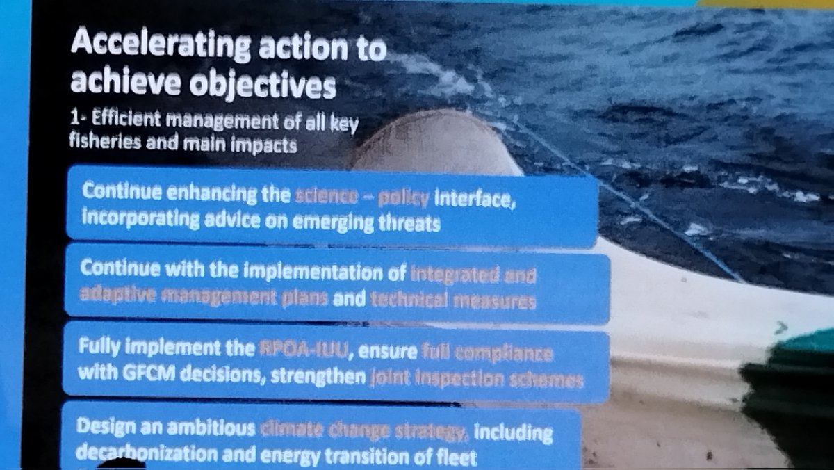 ASoDeMar22's tweet image. Se inicia la conferencia del segmento de alto nivel, donde se reafirma la declaración #MedFish4Ever un compromiso compartido sobre la sostenibilidad del #Mediterraneo .   @ana_ferrus @UN_FAO_GFCM @mbernal_GFCM @equalitat @GVAagricultura