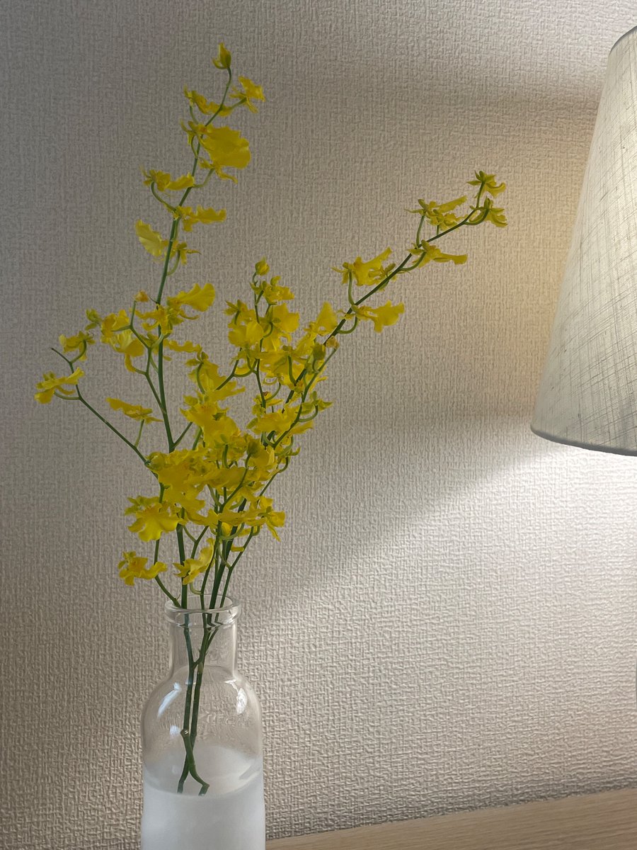 2315Y's tweet photo. 駅ビルでおっさんに肩バーンってぶつかられて、めちゃくちゃイライラしてたけど家に着いた��涙出てきた😢YouTubeみながら夫のお菓子勝手に食べて癒されてる🌼 https://t.co/cLsxR536DL