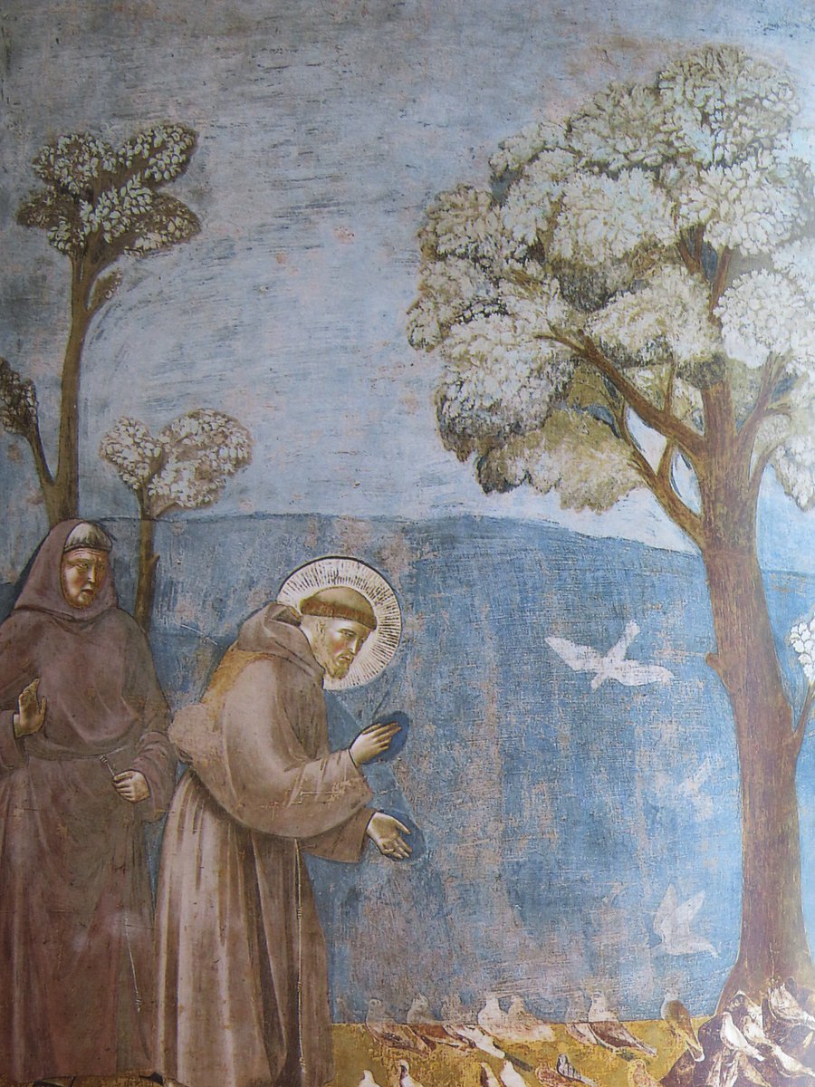 siglodos's tweet photo. Hoy #SanFranciscoDeAsis 

MUERE FRANCISCO y vuelan las alondras,
han visto luz en el aliento último del santo.
Y tejen en el aire
un hábito de viento
                                        para su desnudez.

#VíctorHerreroDeMiguel O.F.M.Cap https://t.co/eb5Gsi0f18