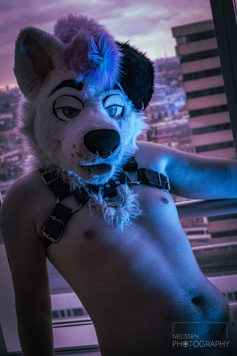 _Pup_Koda_'s tweet photo. Here's some of my favourite pictures I took this year ✌️
In order of appearance!
-
@PupSparks91 
@Bruce_TSHD_AD 
@Danzel_pup 
-
I am really glad to have these cool opportunities to take pictures of incredible people! And if you ever want some yourself DM me I'd love to arrange it https://t.co/7kFaEJLfsq