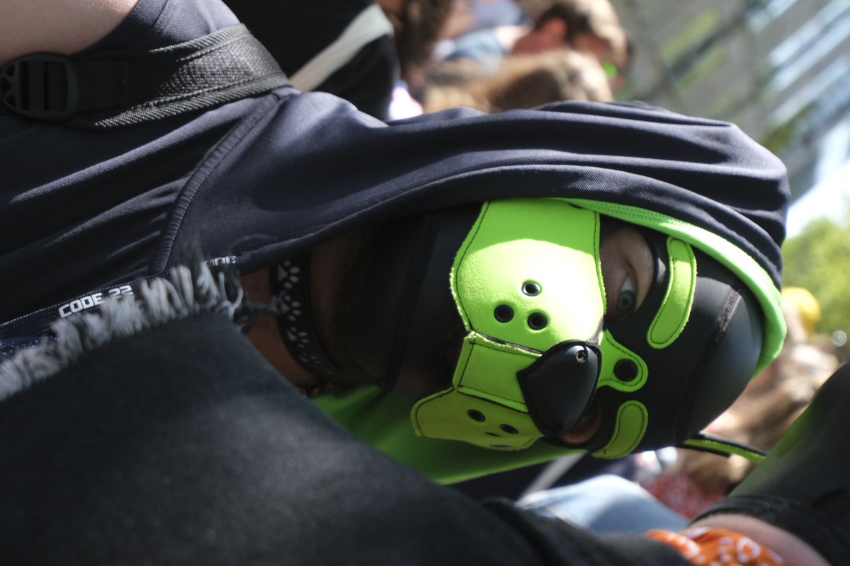 _Pup_Koda_'s tweet photo. Here's some of my favourite pictures I took this year ✌️
In order of appearance!
-
@PupSparks91 
@Bruce_TSHD_AD 
@Danzel_pup 
-
I am really glad to have these cool opportunities to take pictures of incredible people! And if you ever want some yourself DM me I'd love to arrange it https://t.co/7kFaEJLfsq