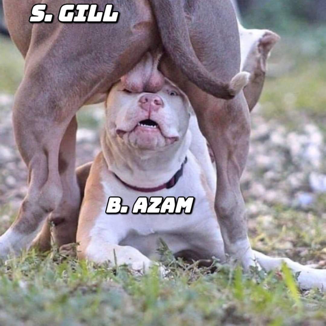 imvikaskumar_'s tweet photo. @avinasharyan09 @SushantNMehta 🤣🤣 https://t.co/lvvLytEpgV