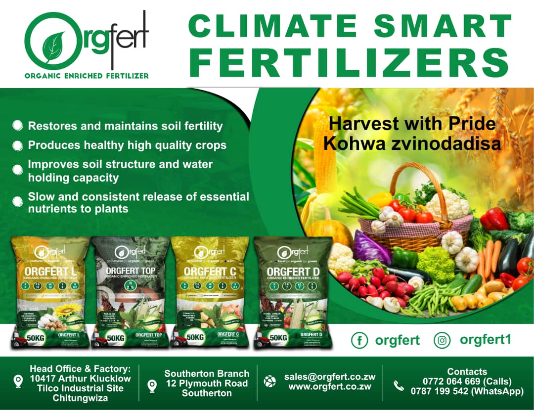 Orgfert1's tweet image. Good News To All Civil Servants and Pensioners!!

Have a stress free season and grow your yields by acquiring your fertilizers from us on credit.
Hurry now and beat the last minute hustles
Get in touch with our team, 
+263882121214 0773936225, 0787199542, 
 Ts &amp;amp; Cs apply