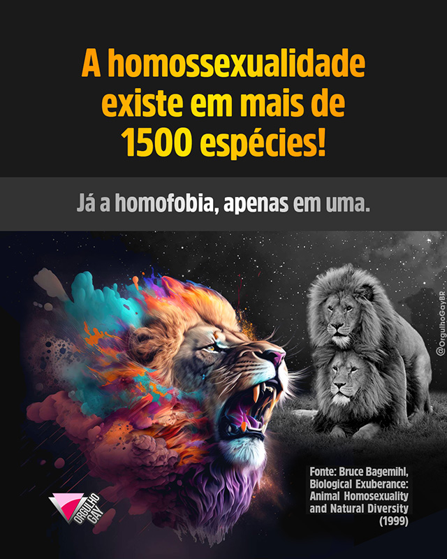 Orgulho Gay (@orgulhogaybr) on Twitter photo 