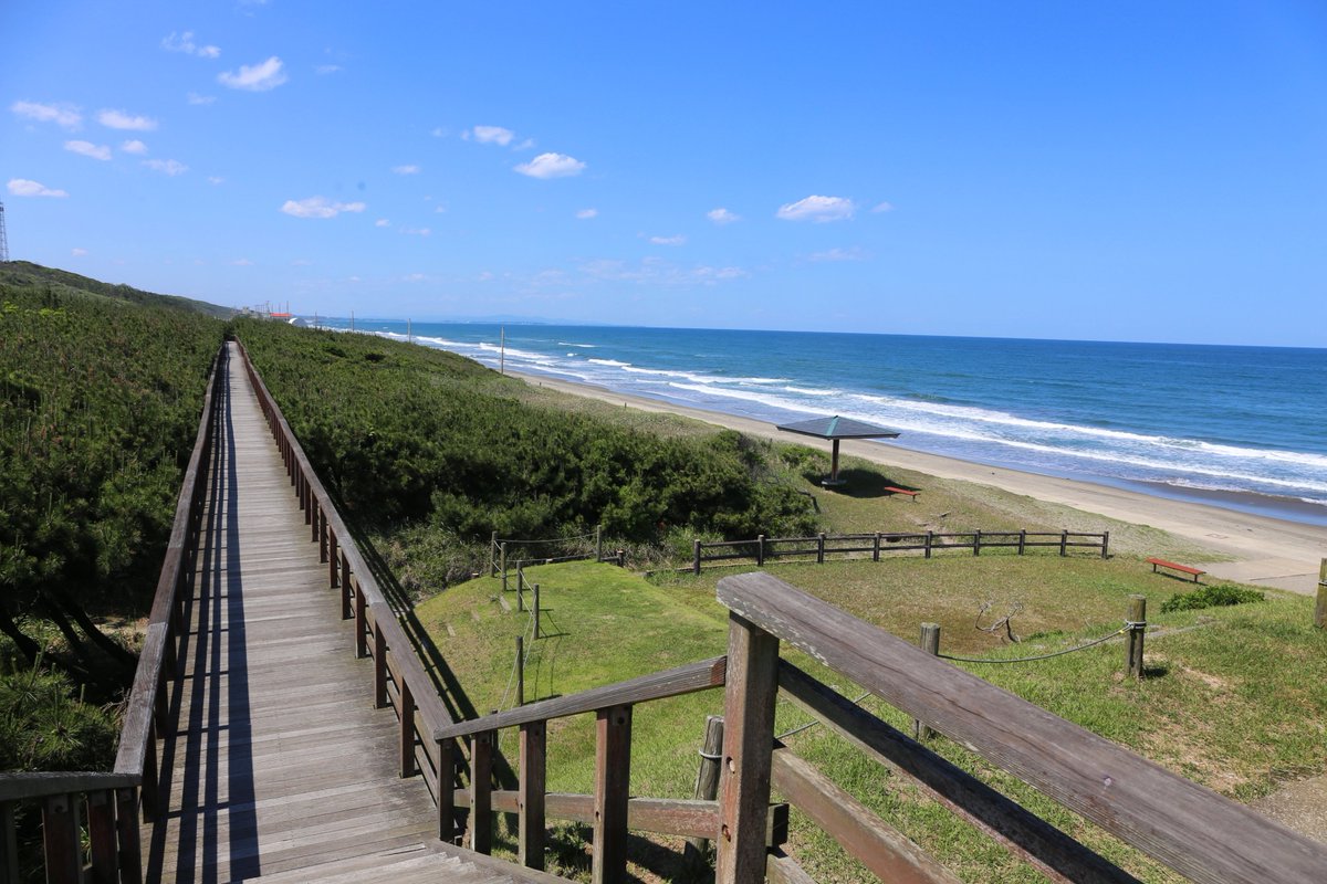 #茨城県　#鉾田市　の　#鹿島灘海浜公園　のボードウォークは松林や雄大な鹿島灘の景色を楽しみながら散歩できる歩行者用木道橋です。展望デッキからの眺めもおすすめです😊
#いばらきの公園　#公園　#海