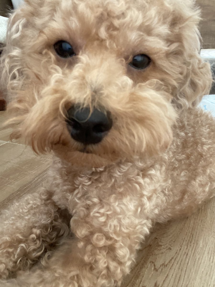 cococococogg's tweet image. ทำหน้าตลกอะ