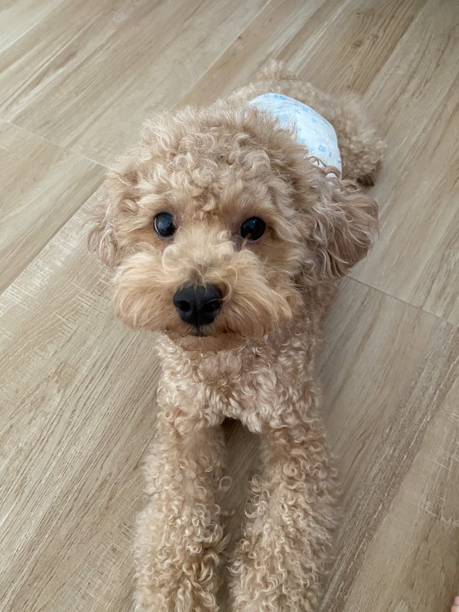 cococococogg's tweet image. ทำหน้าตลกอะ