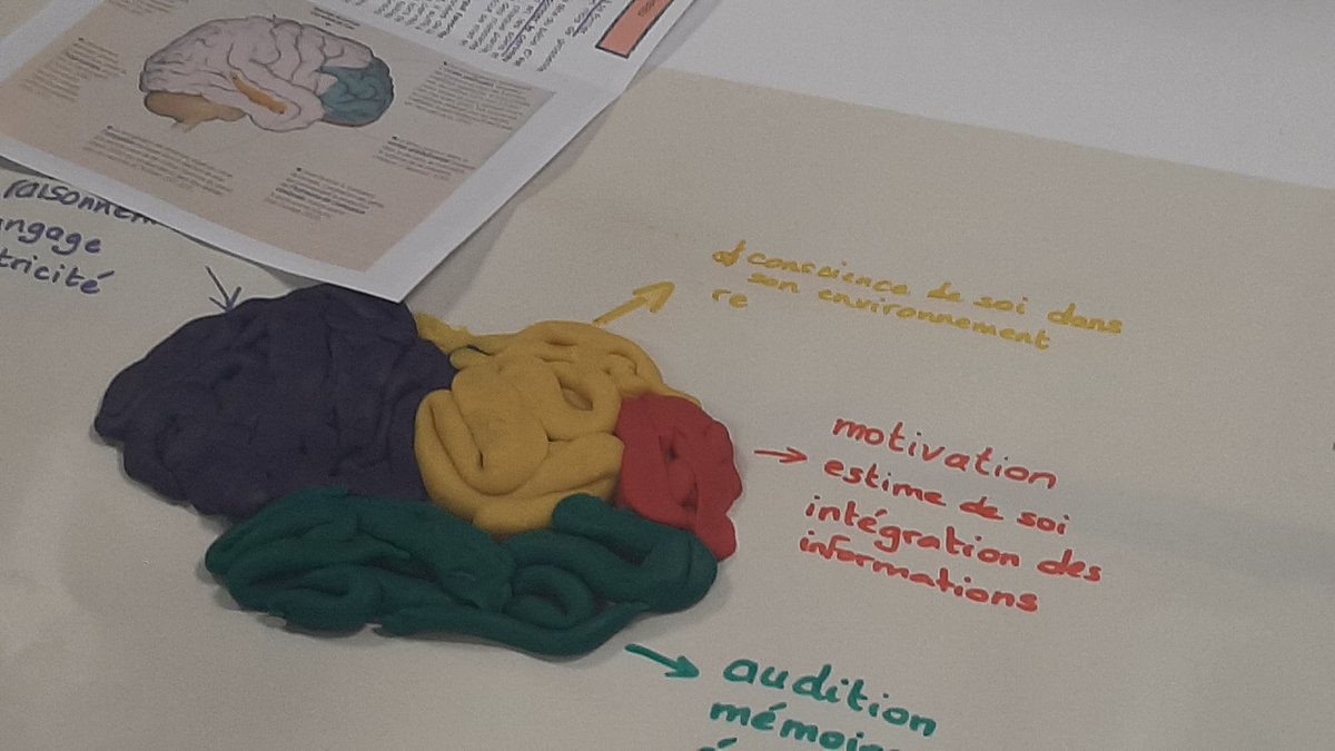 Travail sur le cerveau avec des enseignants de Saint-Paul 1 : expliquer aux élèves la neuroplasticité, l'état d'esprit fixe, de développement, et travailler la rétroaction pour favoriser les conditions d'apprentissage !
<a href="/ChristinEliane2/">Christin Eliane</a> @Michel <a href="/TeyssendierL/">Teyssendier Laure</a> <a href="/AurelieHibon/">HIBON Aurélie</a>