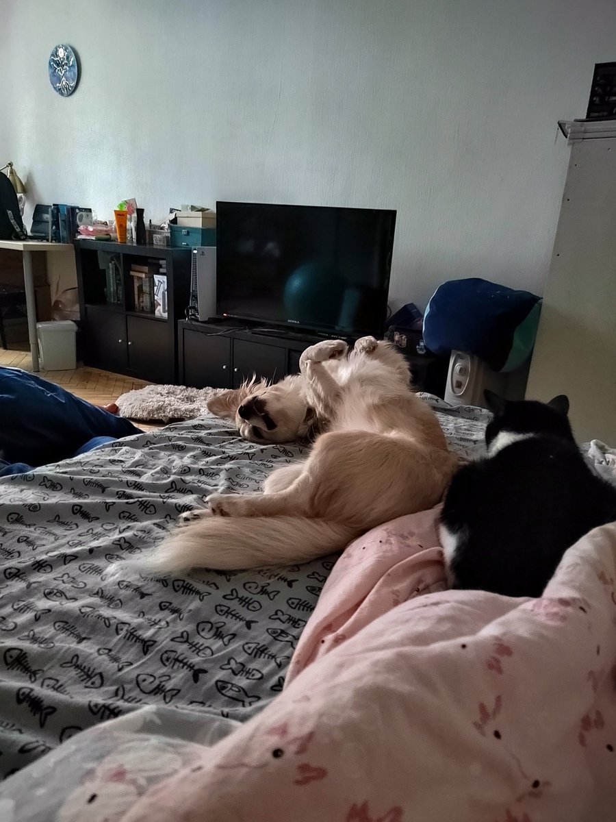 Типичное утро:
- Мать, чё поесть?
И
- Ну ещё пять минуточек...
И кошка )