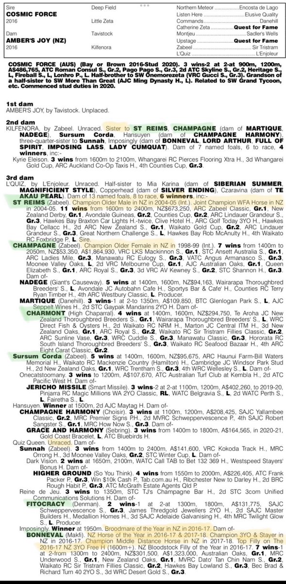 TrevDonaldson's tweet image. Safe arrival of another filly  - only 10 hours old…… #CosmicForce #LikeFatherLikeSon @bruceaslade @NewgateFarm @noogeepark - really proud of Jilly and her team at Noogee Park.