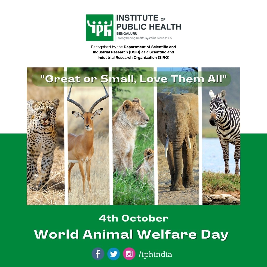 iphindia's tweet photo. On this World Animal Welfare Day, IPH Bengaluru wishes you to embrace the concept of "one health" - where the well-being of animals, humans, and the environment are interconnected. Together, let's create a healthier world for all!
#onehealth #iphindia #iphbengaluru #saveanimal https://t.co/otjJlZEd9y