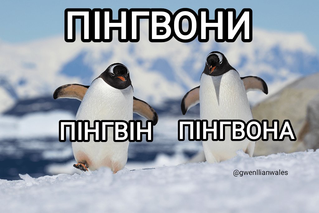 оленка змія tweet media