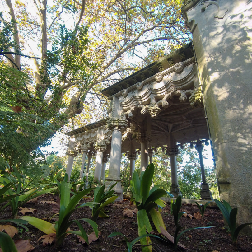 Flygia360's tweet photo. Garden with monument 📸
.
.
. 
#Flygia360 #photography #travelphotography #photooftheday #picoftheday #actioncam #actioncamera #SJCAM #EyeEM #beauty #Portugal #Sintra #garden #plants https://t.co/Q1eakZ3HSF
