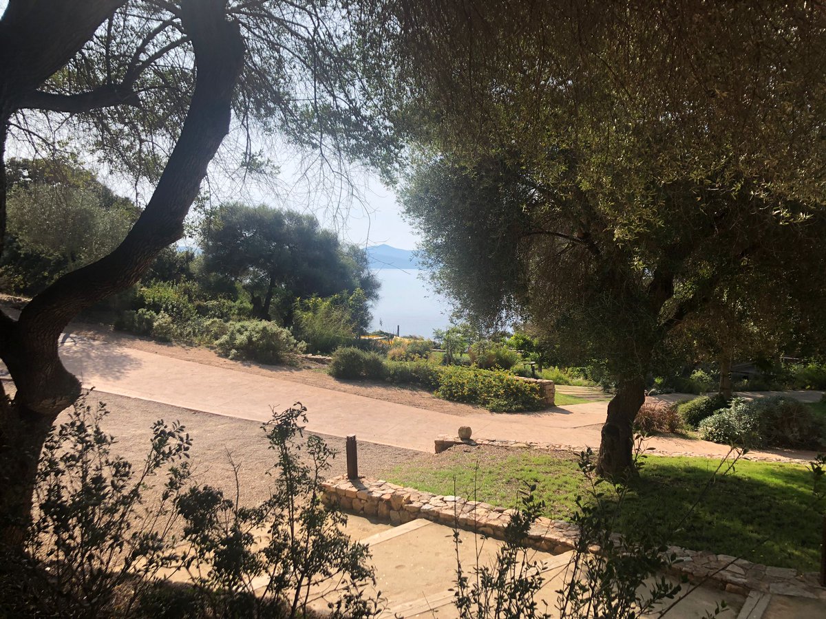 COMiX team tweet media