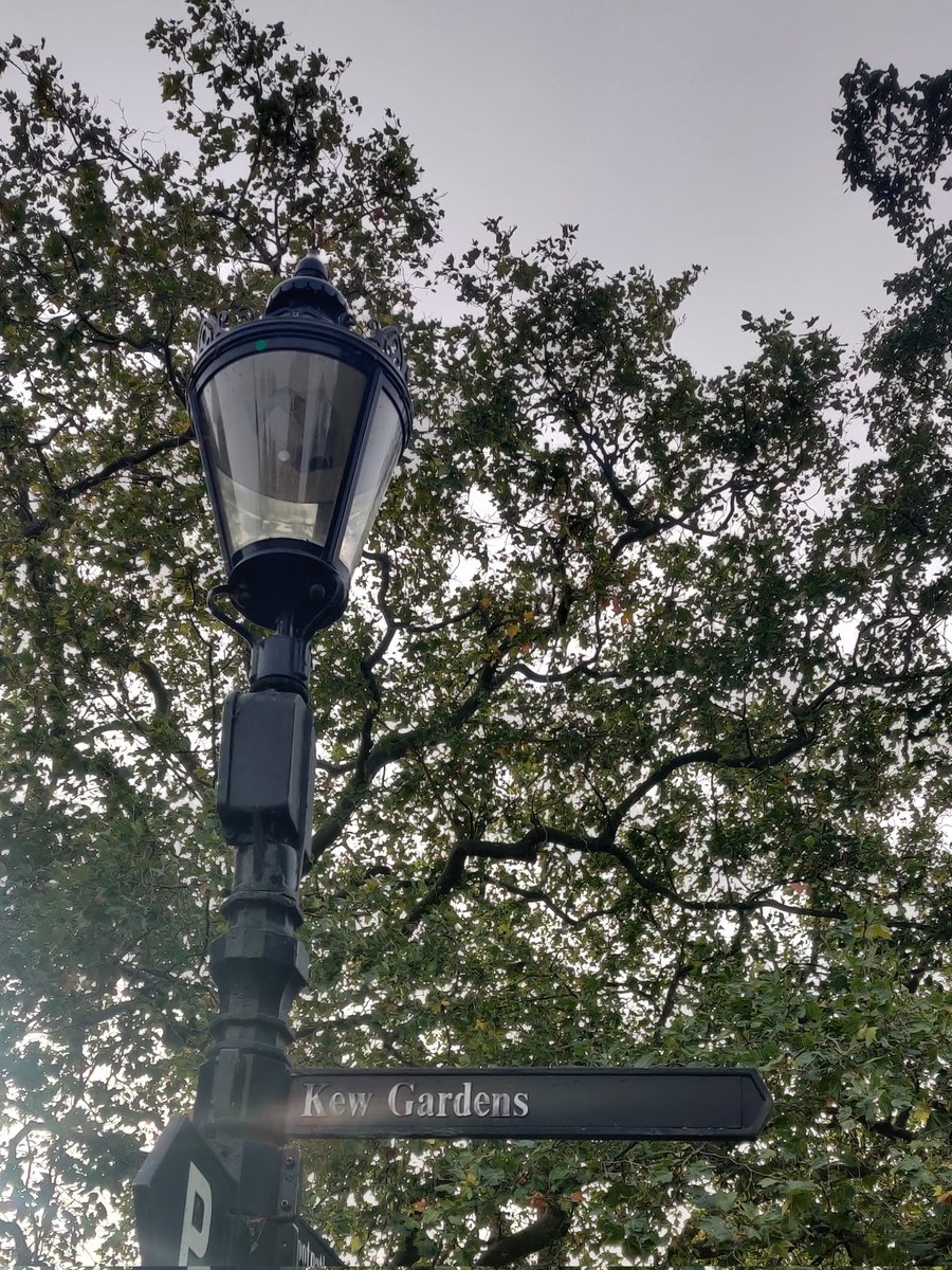 First visit to the Kew Herbarium this morning, with a presentation of my work at the Accelerated Taxonomy meeting
So glad to be here!