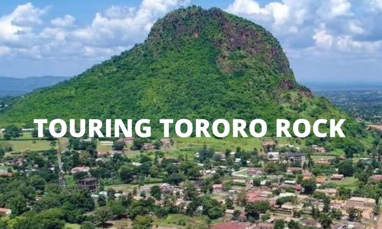 EasternMega's tweet photo. #EMF5 : Come 26.01.2024 Let's tour Tororo Rock with cause of Creating Hope Among the Sickler Population together we can 💪💪💪
Dont be left out register now using the link below
https://t.co/WsTCDddWGb @Dhamuzungu_p @rotaryd9213 @DGEdwardKakembo @uscrfuganda @RotaractD9213 https://t.co/tDVGSeUK3L