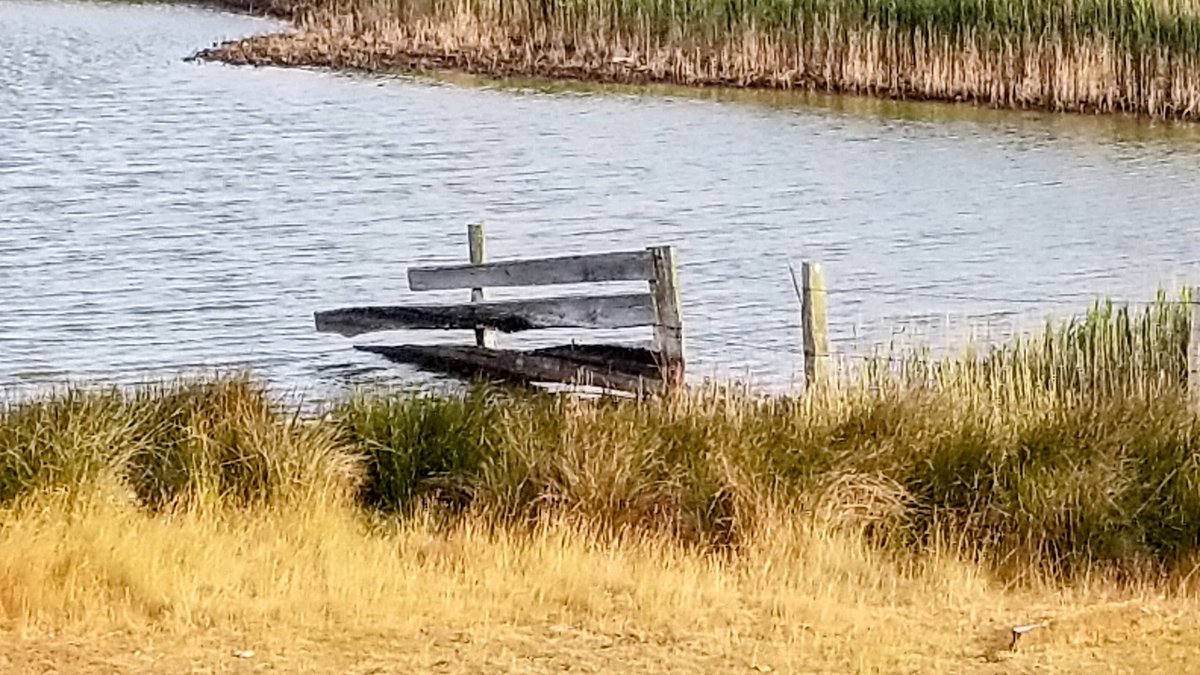 Impressionen von Fehmarn... 
 #Fehmarn #Ostsee #Insel #Ferien #Urlaub #ostseeliebe #küstenliebe #balticsea #meerliebe #schleswigholstein #strand #meerweh #ostseeurlaub #reiselust #ostseekult 
natuerlichfehmarn.de