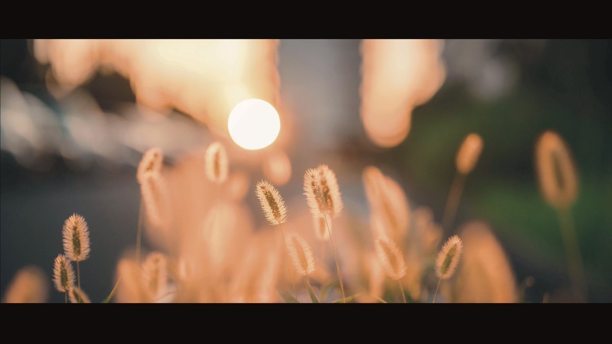 秋が爽やかOsaka