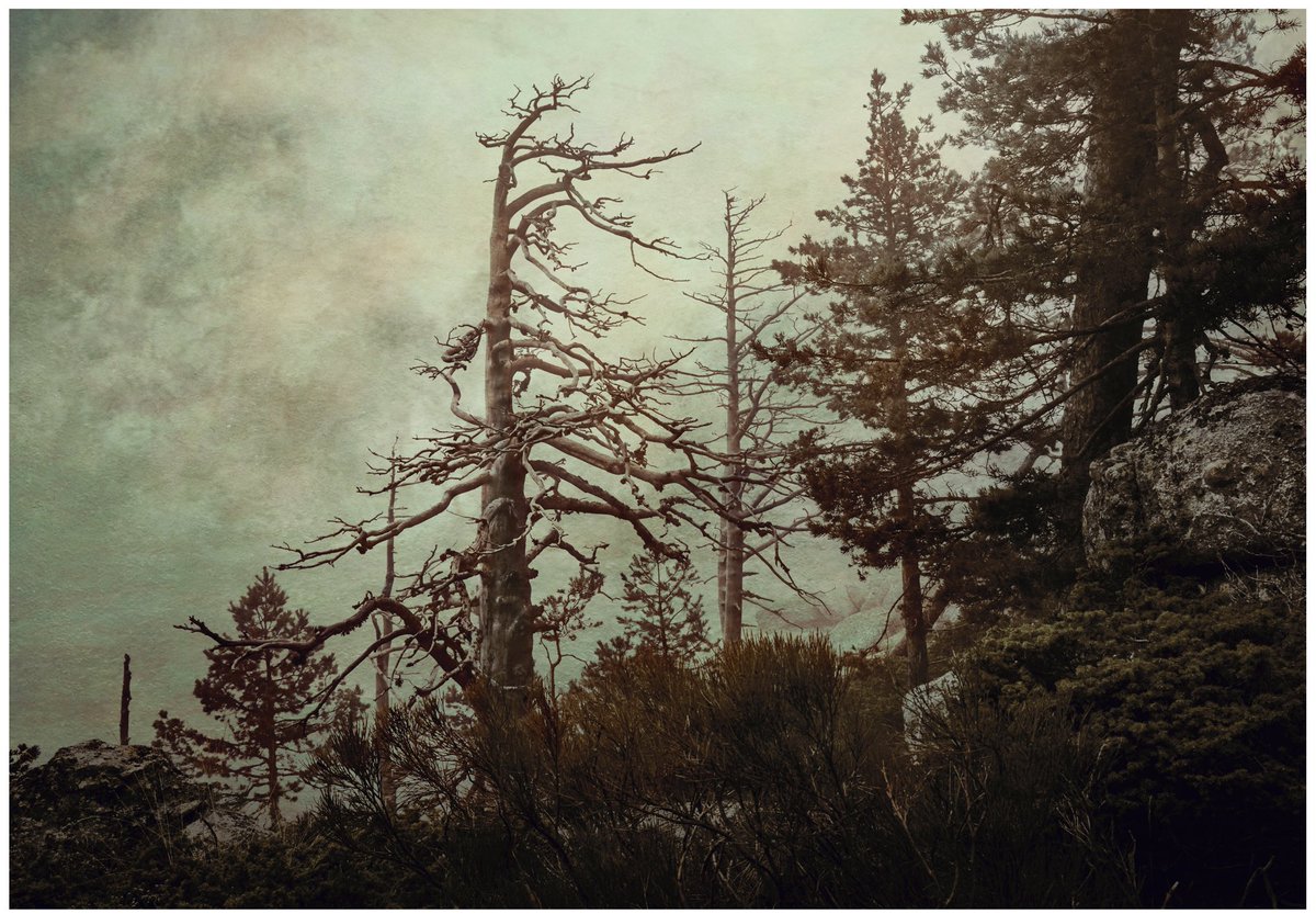 louisiruela's tweet image. I rather experiment than stay in my confort zone.

My art, my rules.