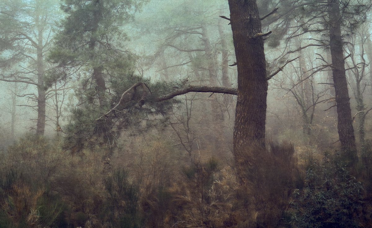 louisiruela's tweet image. I rather experiment than stay in my confort zone.

My art, my rules.