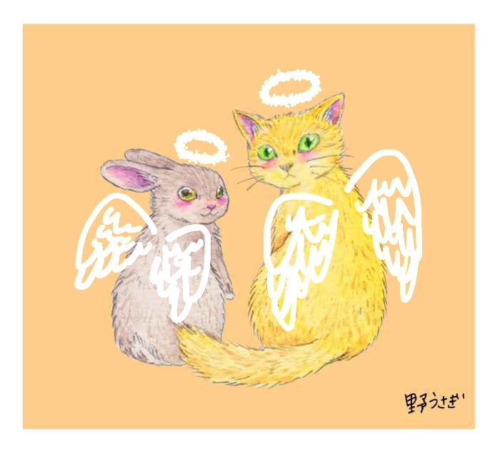 【野うさぎ♡】 野うさぎ🍫🐇 on X: 