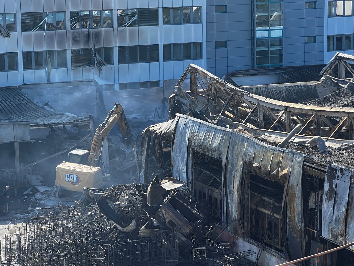 Pi𝕏elaffe 🙈 tweet media