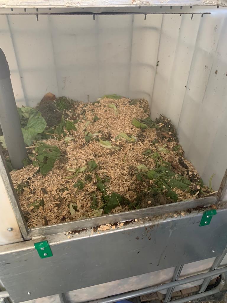 tarikdev's tweet photo. Proud to join the diplomatic community and the Greater Amman Municipality for the Eco Capital Pledge to help #Amman become carbon neutral by 2050! Check out our ‘baladi’ composters at the Embassy and Official Residence: @CanEmbJordan #recycles and #composts https://t.co/VlQics4U9C