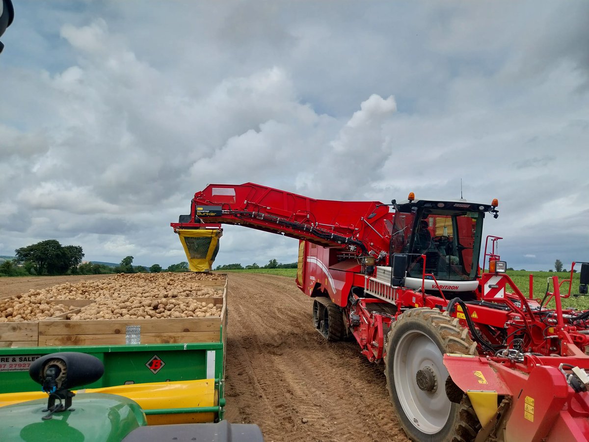 Jumping in between the grey skies to get the harvest done 📷
#Harvest23 #irishfarming #irishfarm #farming #potatoes