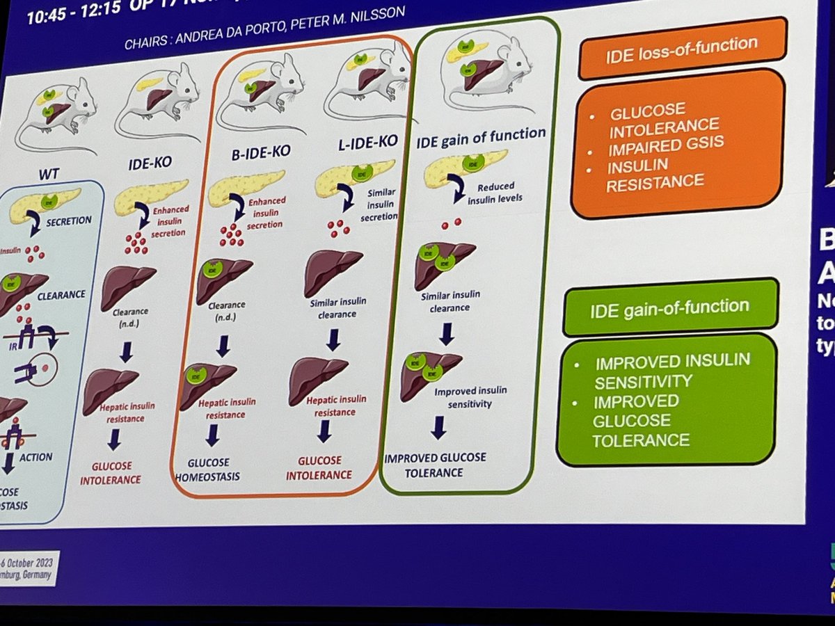 Hannah Beba tweet media