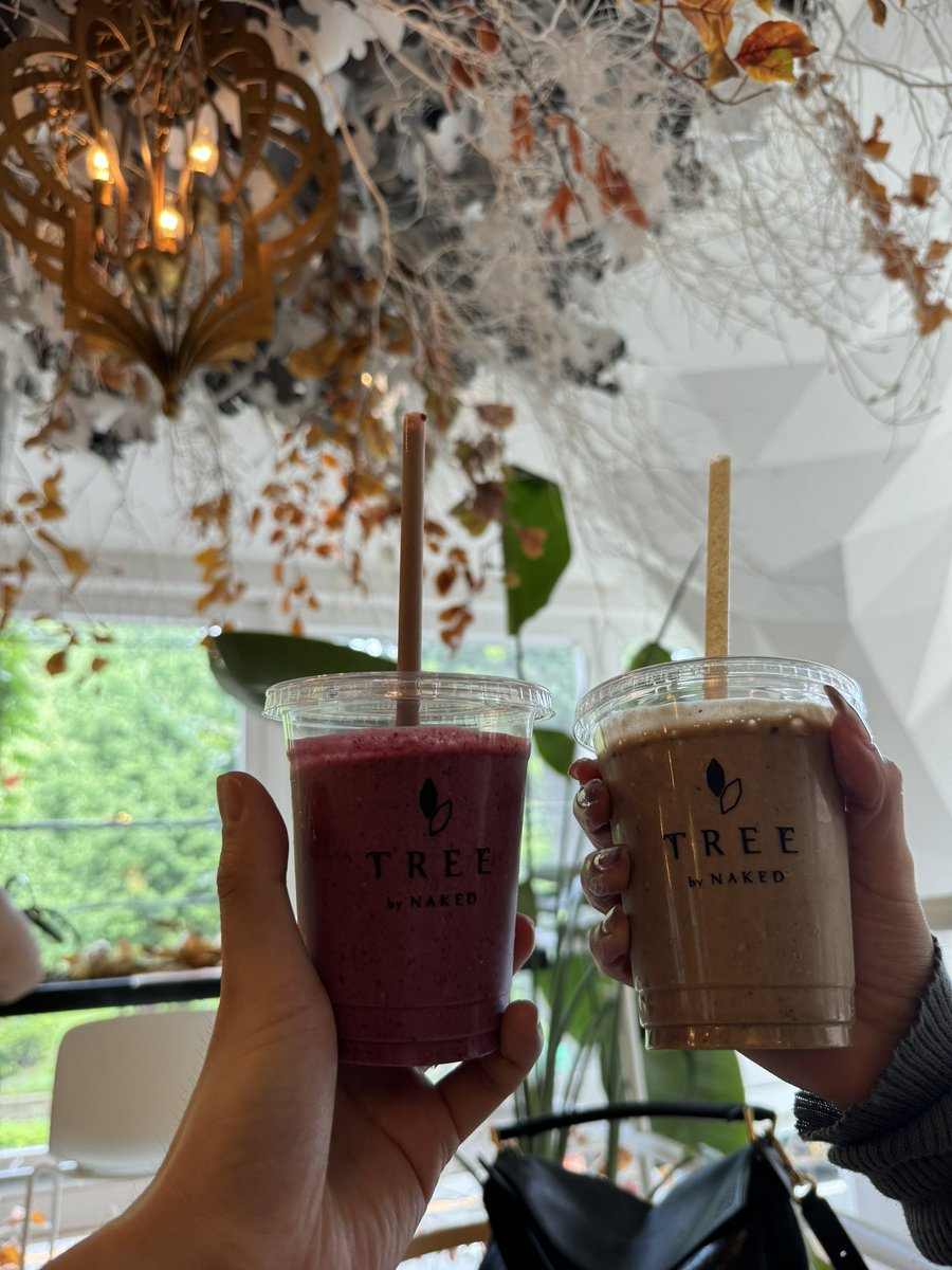 prehanata's tweet photo. 先日のTREE by  NAKED yoyogi park
2Fカフェエリアも撮影スペースも豊富で素敵でした📽️

店内のTREEモニュメントは時期により葉を変えて四季を表すようです。

冬の木々も楽しみ☃️ https://t.co/QDsd9w92tm