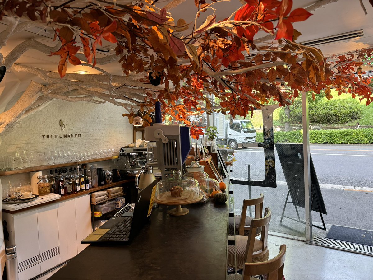prehanata's tweet photo. 先日のTREE by  NAKED yoyogi park
2Fカフェエリアも撮影スペースも豊富で素敵でした📽️

店内のTREEモニュメントは時期により葉を変えて四季を表すようです。

冬の木々も楽しみ☃️ https://t.co/QDsd9w92tm