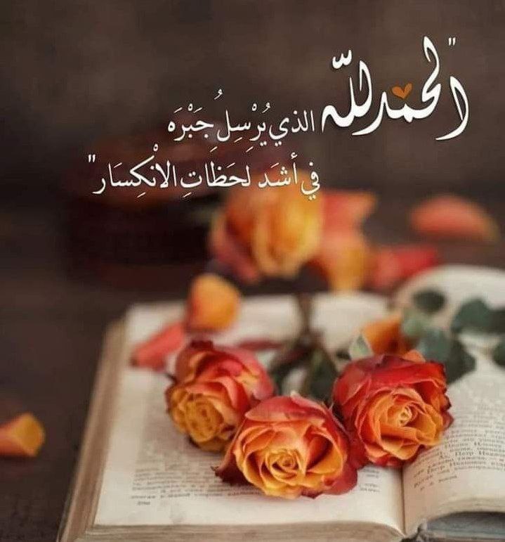 🦋🧡 'ويا ضحوكةَ ثغرٍ والدُّنَى عَبَسٌ ويا صفيّة طبعٍ والمُنى رَنَق.🦋' #صباح_الخير_والسعاده_للجميع